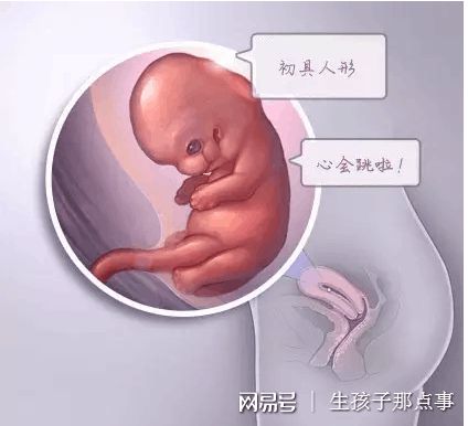 供卵代孕咨询公司门诊